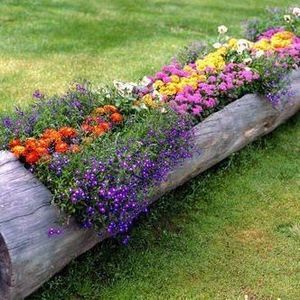 Meet your Posher, Lin